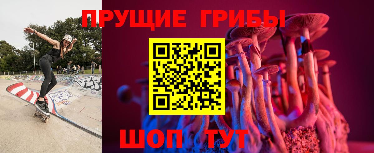 Псилоцибиновые грибы мицелий  Галлюциногенные грибы Cubensis  Дальнереченск  Вход с VPN 